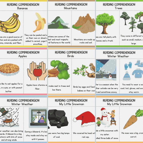 Reading Comprehension Worksheets PDF